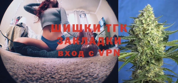 шишки Нягань