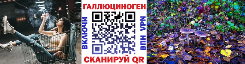 Галлюциногенные грибы Psilocybine cubensis Кыштым