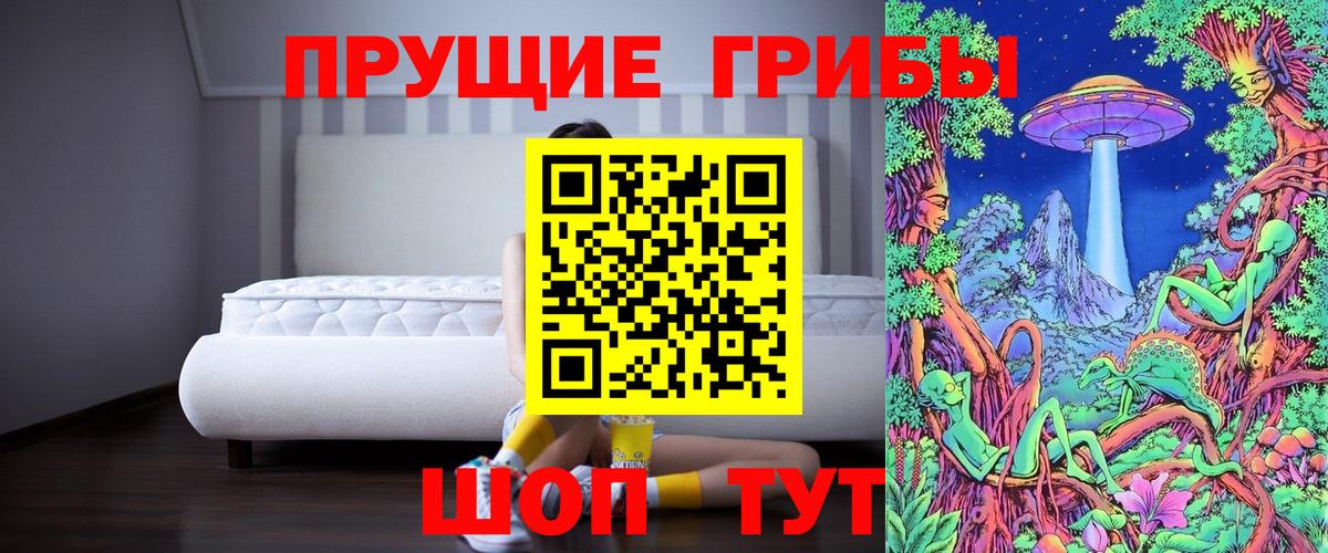 Галлюциногенные грибы MAGIC MUSHROOMS  хочу   Вход с VPN  Кыштым  Галлюциногенные грибы мухоморы 