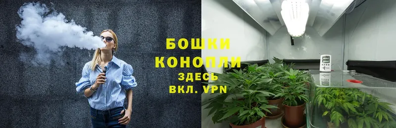 Каннабис White Widow  Кыштым 